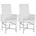 Somette Contemporary Arm Chair with Steel Frame, Set of 2