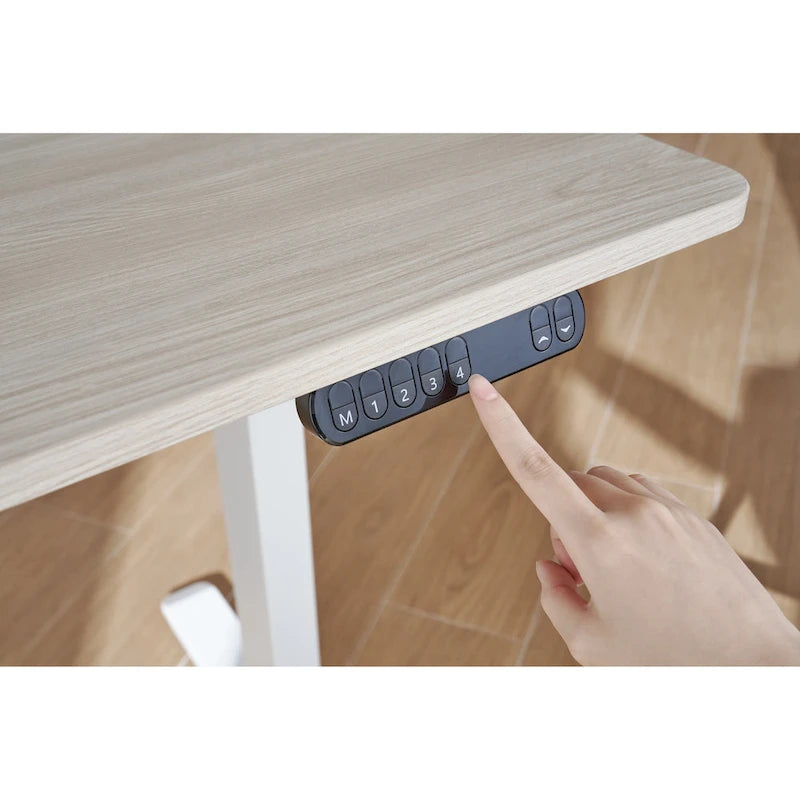 Sihoo D03 Office Desk, Height-Adjustable Standing Desk